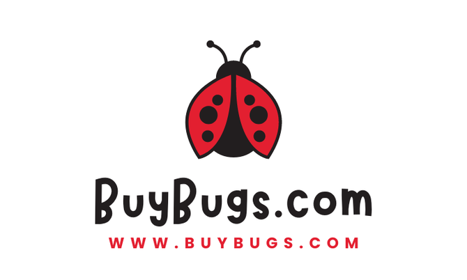 BuyBugs.com